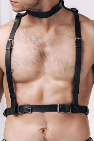 Deluxerie Harness Ceallach 2